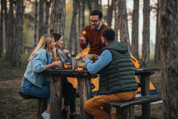 What's the Best Natural Wood Finish for a Child's Playset in the Garden?